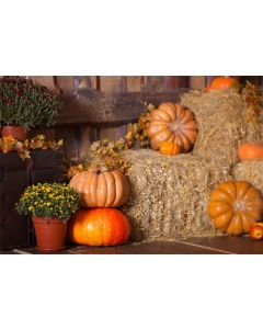CSFOTO 8x6ft Thanksgiving Day Backdrop Hay Bales Barn Autumn Harvest Pumpkins Background for Photography Country Rural Theme Party Decor Thanksgiving Day Photo Backdrop