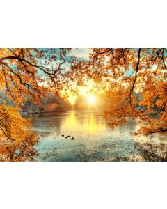 CSFOTO 5x3ft Background for Autumn Lake Sunrise Photography Backdrop Duck Fall Park Landscape Sunset Beautiful Nature Scenery Yellow Leaves Holiday Vacation Photo Studio Props Polyester Wallpaper